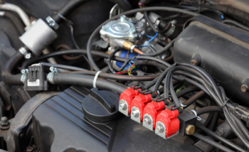 Going to the gym for the first time