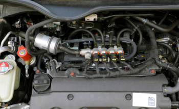 Going to the gym for the first time